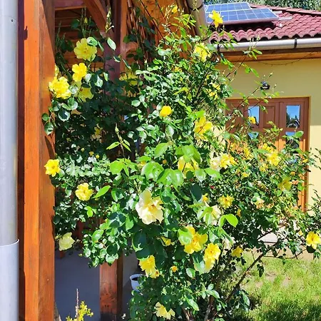 Apartment Eden Vendeghaz