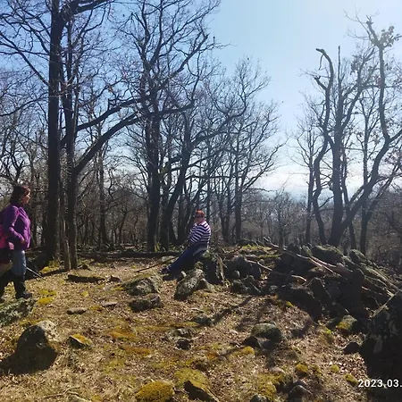 Eden Vendeghaz Apartament *