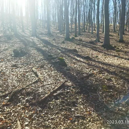 Eden Vendeghaz Kisnána