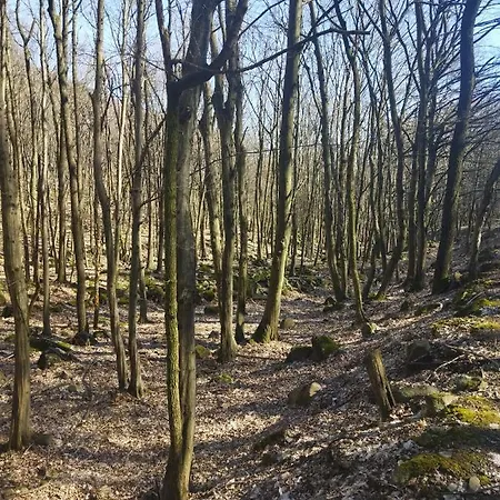 Eden Vendeghaz Apartament *