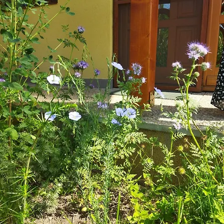 Apartament Eden Vendeghaz *