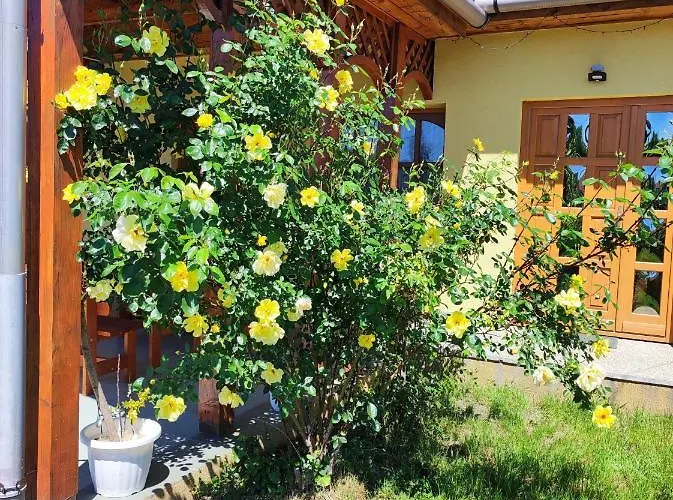 Eden Vendeghaz Apartament