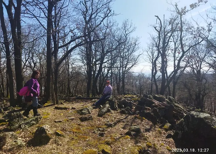 Eden Vendeghaz Apartment *