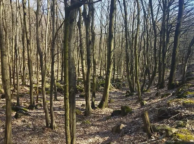 Eden Vendeghaz Apartment *